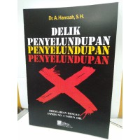 Image of Delik Penyelundupan